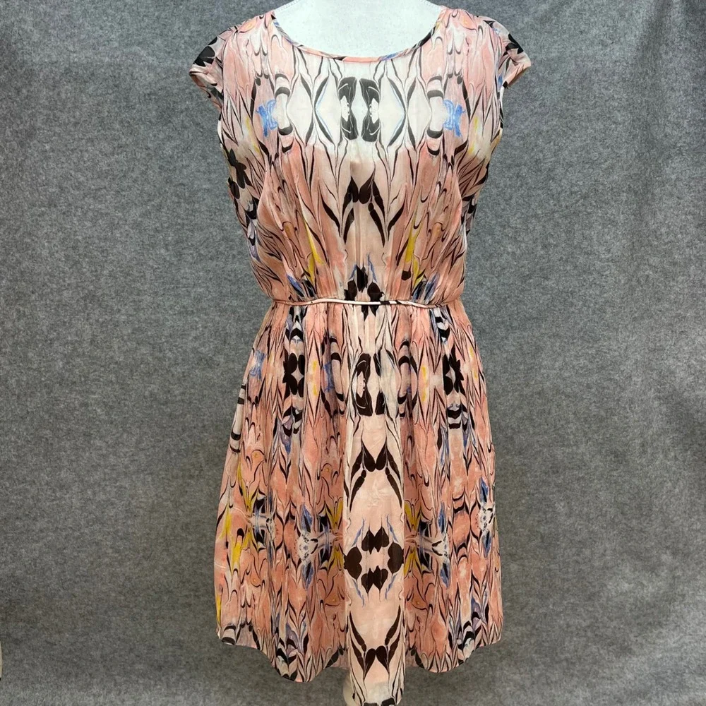 J Crew 100% Silk Outside Butterfly Wing Flutter Sleeve Artsy Dress Spring Size 6